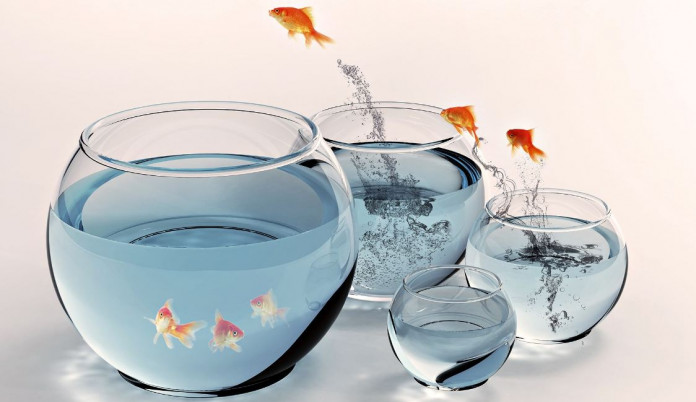 pulando aquario